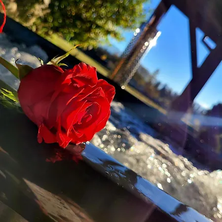 Tatra House Z Jacuzzi Poronin